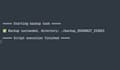fix bugs, write bash shell and python automation scripts