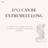 design professional canva educational carousels