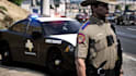 develop fivepd, lspdfr and nopixel inspired police rp server for fivem