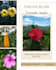 design social media posts using canva