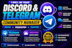 be your telegram and discord chatter, manager, admin, moderator