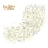 design wayfinding map, visitor map, resort map and park map, navigation map