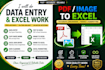 do accurate excel data entry, copy paste and formatting