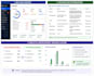 do professional on page SEO optimization for your website