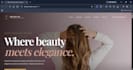 design and develop a professional responsive website