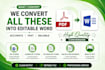 convert PDF to word accurately