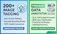 do expert data annotation image tagging and data enty