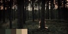 do cinematic video color grading and color correction