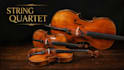 record professional cello for your song