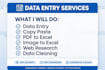 do data entry, excel data entry, google sheets, and pdf to excel
