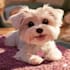 pet portrait into cute disney style