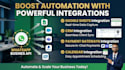 set up whatsapp business API automation and chatbot