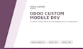develop odoo website, odoo custom module, odoo crm and erp integration