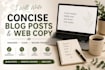 concise blog posts and web copy