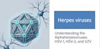 create medical notes,  summaries, presentations and research