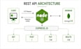 build a node js rest API with express and mongodb