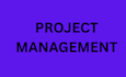 be your project manager