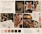 develop a unique fashion collection, concept, theme, and mood board