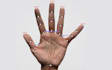 do pose estimation face and hand keypoint annotation