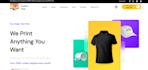 web design and hosting , domain setup