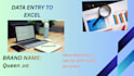 do data entry in excel,email management,and file formatting