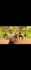 do happy birthday video