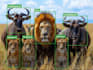 do accurate ai data labeling and annotation