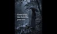 design an aesthetic quote poster