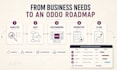 provide expert odoo implementation consulting