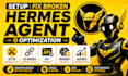 setup fix broken hermes agent api error memory vaults hermes optimization