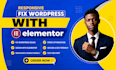 elementor pro, elementor website, bug elementor wordpress, fix wordpress website