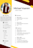 design a professional resume and cv design using canva