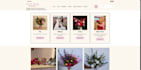 design or redesign edit and update webflow website or figma to webflow