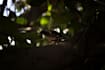 do photography, cinematography and creative direction