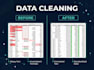 do sql queries, database cleaning, and data reports