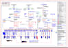 design electrical power distribution, lighting and single line diagram