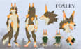 draw your furry oc reference sheet with full character design