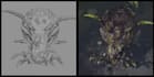 create 3d game ready animations that levels up your game