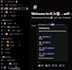 create, design and setup a professional discord server