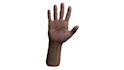 create a high quality rigged 3d hand model in blender