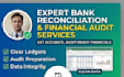 do bank reconciliation, financial audit, and ledger cleanup