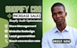 audit your shopify store increase conversion rate shophify cro store review