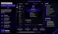 design and setup a professional discord server