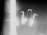 create non linear cinema experimental video art and visual installations