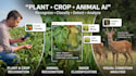 develop plant, crop detection and animal recognition and classification