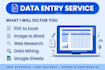 do fast data entry, PDF to excel in 24 hours