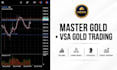 provide my profitable vsa based gold trading system