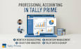 do professional accounting and bookkeeping in excel