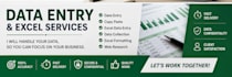 provide accurate data entry and excel services
