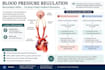 write well researched medical and pharmaceutical content